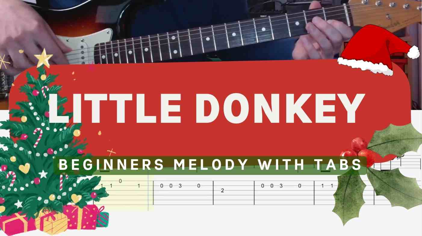 Little Donkey for Beginners