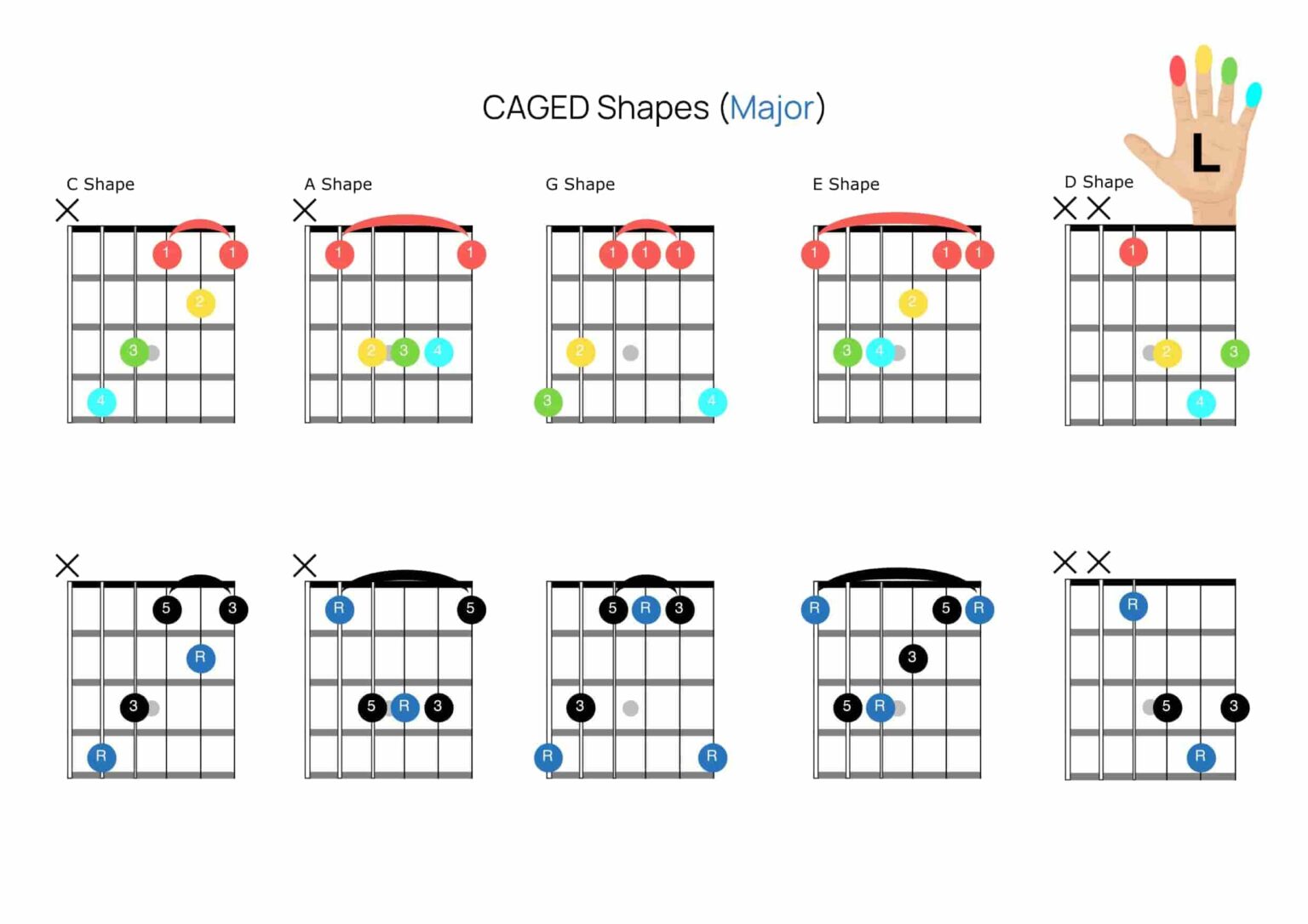 Movable CAGED Chord Shapes: A Comprehensive Guide | Simply Guitar